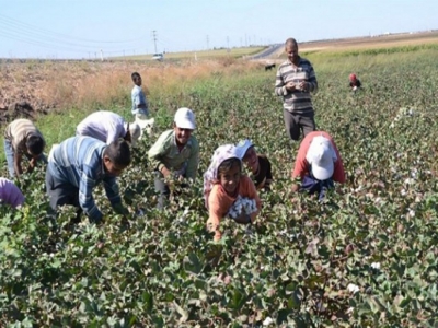 Urfalı çiftçilerin sorunları birinci ağızdan Ankara’ya iletildi