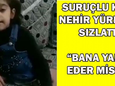 Suruçlu Nehir kendisine uzanacak yardım elini bekliyor! (VİDEOLU)