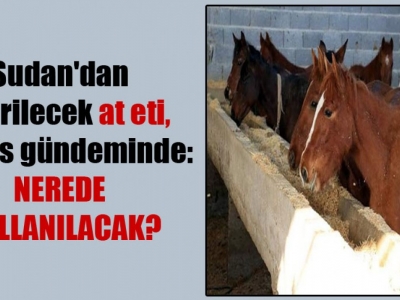 At eti nerede kullanılacak?