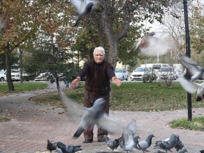 Kore gazisi Fahri dede güvercinlerin can dostu oldu