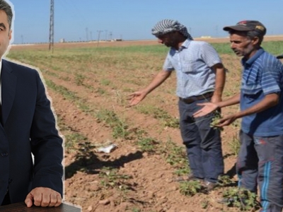 “Çiftçiler 5 yıldır geriye gidiyor”