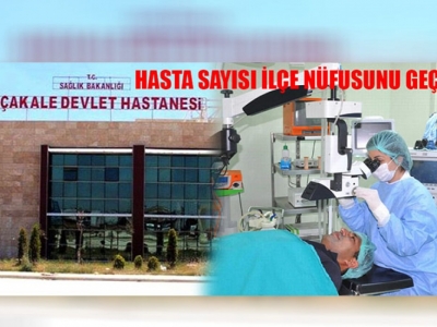 Akçakale'de kaç kişi sağlık hizmeti aldı?