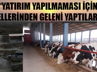 Şanlıurfa’da hibe programına başvurular reddedildi