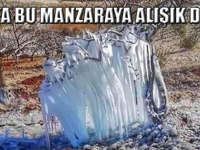 Şanlıurfa, Sibirya soğuklarına teslim oldu