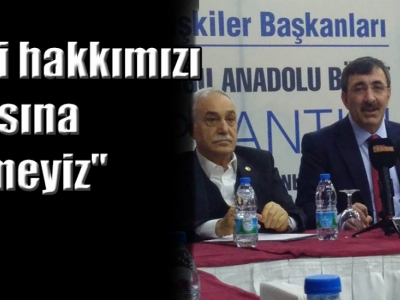 AK Partili Yılmaz dış politikayı değerlendirdi!
