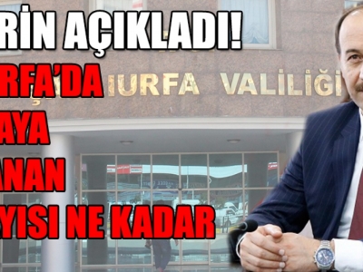 Vali Erin Şanlıurfa'da vaka sayısına ne dedi?
