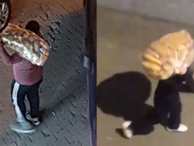 Sokağa çıkma yasağından sonra şaşırtan manzaralar