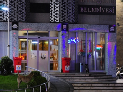 Şanlıurfa’da başıboş gezen köpek sayısı artıyor!