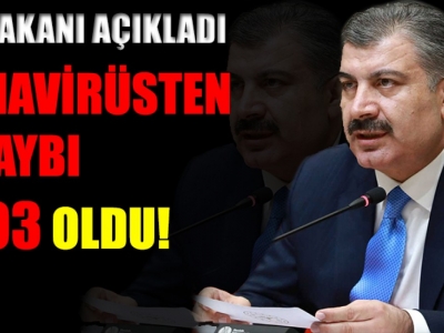 Türkiye'de koronavirüs yayılma hızı yavaşlıyor!