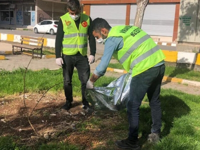 Sokak hayvanları için mama bırakılıyor
