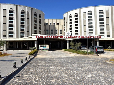 Urfa'da badem toplamak isterken canından oldu!