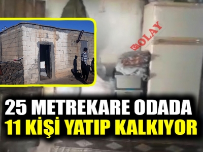 Siverek ilçesinde 11 kişilik ailenin yürek burkan yaşamı