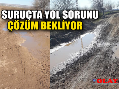 Çamurlu yollar vatandaşı çileden çıkardı