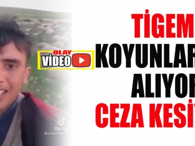 Ceylanpınar'lı çiftçi sosyal medyadan Erdoğan'a seslendi