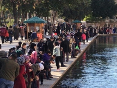 Urfa’dan göç eden kişi sayısı açıklandı
