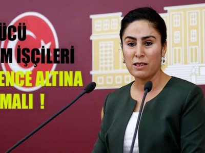 Sürücü tarım işçileri için kanun teklifi verdi