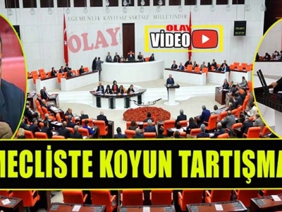 Urfalı vekiller mecliste tartıştı