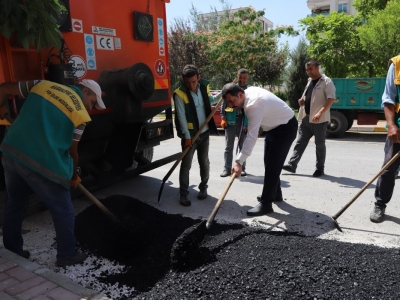 Başkan Baydilli çalışmaları denetledi 