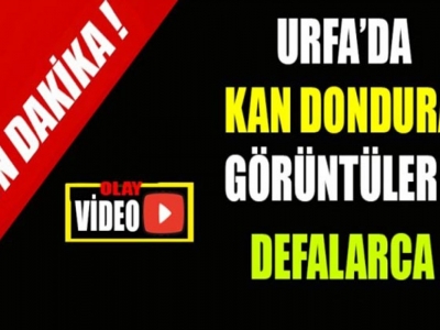 Kavganın görüntüleri ortaya çıktı !