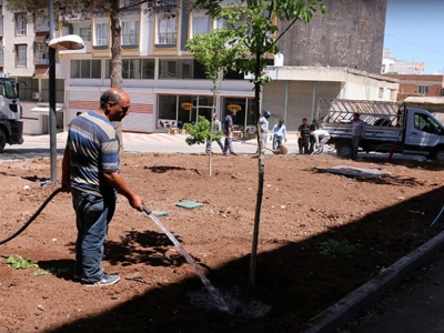 Park ve bahçelerde bakım çalışmaları sürüyor