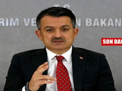 Bakan Pakdemirli paylaştı: Urfa'daki yangın kontrol altına alındı !