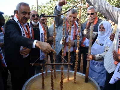 Ovacık Mahallesinde Şire Şenliği Düzenlendi