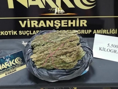 Urfa'da Uyuşturucu Operasyonu: 12 Gözaltı