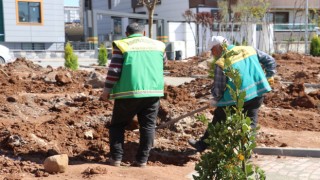 Karaköprü'de Yeni Parklar Ağaçlarla Yeşilleniyor
