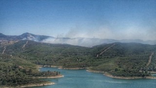 İzmir'de çıkan orman yangınına müdahale ediliyor