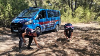 Muğla'da jandarma ekipleri orman yangınlarına karşı devriye görevi yapıyor