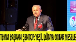 TBMM Başkanı Şentop: Yeşil dünya ortak mesele