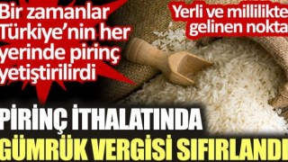 Türkiye’de Pirinçte gümrük vergisi sıfırlandı