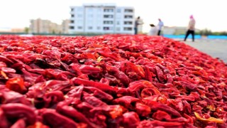 Şanlıurfa’nın ihracat ve ithalat rakamları belli oldu