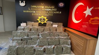 Şanlıurfa’da 55 kilo 750 gram skunk ele geçirildi