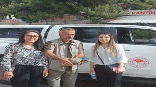 Urfa’da bitkin halde bulunan kaplumbağa DKMP ekiplerince tedaviye alındı
