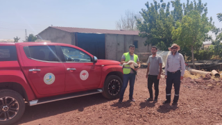 Urfa’da Bitkin Halde Bulundu Tedavi Edildi