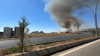 Urfa’da kuru ot yangını