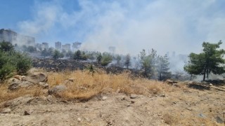 Urfa'da Orman Yangını Olayına Karışan Şahıs Tutuklandı