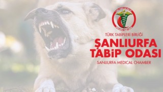 Şanlıurfa Tabip Odası’ndan kuduz vakalarına ilişkin açıklama