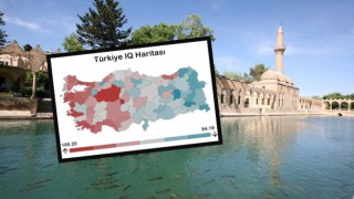 Türkiye’nin En Zeki İlleri Sıralamasında Urfa Kaçıncı Sırada Yer Aldı?