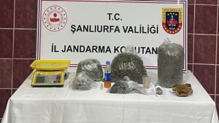 Urfa’da Jandarmadan Uyuşturucu Operasyonu