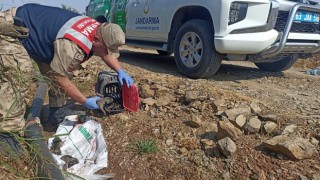 Hilvan’da terk edilmiş köpekler HAYDİ ekipleri tarafından bulundu