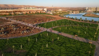 Başkan Beyazgül: GAP SUKAY tıbbi aromatik parkı Şanlıurfa’ya hayırlı olsun