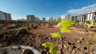 Doğukent’te 11 bin metrekarelik parkta sona doğru