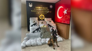 Şanlıurfa’da 170 kilo 700 gram skunk ele geçirildi