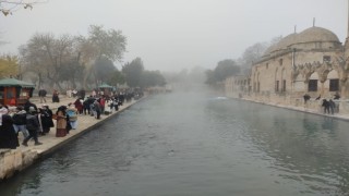 Şanlıurfa’da sisli havaya rağmen balıklıgöl ziyaretçi akını