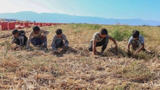 Urfa’da mevsimlik tarım işçilerinin sorunları tartışıldı