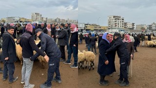 Viranşehir Hayvan Pazarı’nda 347 Kişiye GBT Sorgusu