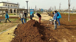 Eyyübiye Millet Bahçesi’nde mevsimsel bakım çalışmaları başladı!