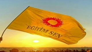 Eğitim-Sen Şanlıurfa Şubesinden ÇEDES tepkisi